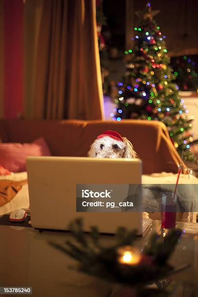 Foto de Cão Bonito Conversando e mais fotos de stock de Cão - Cão, Laptop, Natal