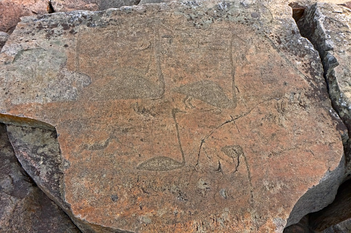 Ancient petroglyphs (2000-4000 BC) located on the Besov Nos (Devil Nose) cape of Onega Lake in Karelia (Russia). Unique pictures on granite plates of late Stone Age, included in UNESCO World Heritage list. 