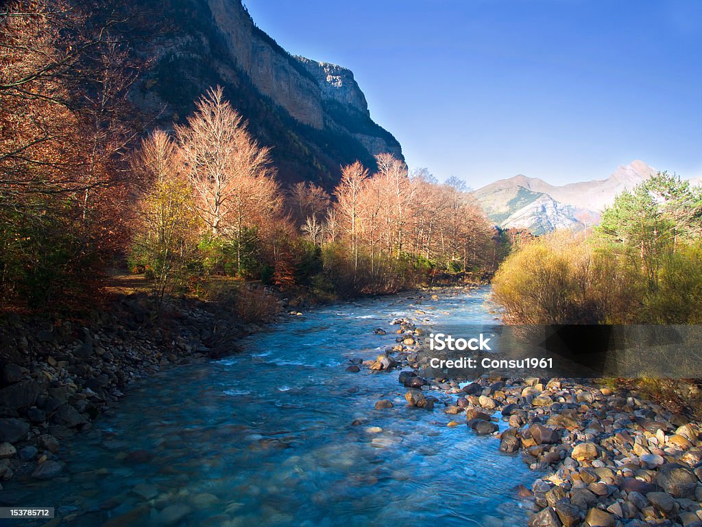 Caída - Foto de stock de Huesca libre de derechos