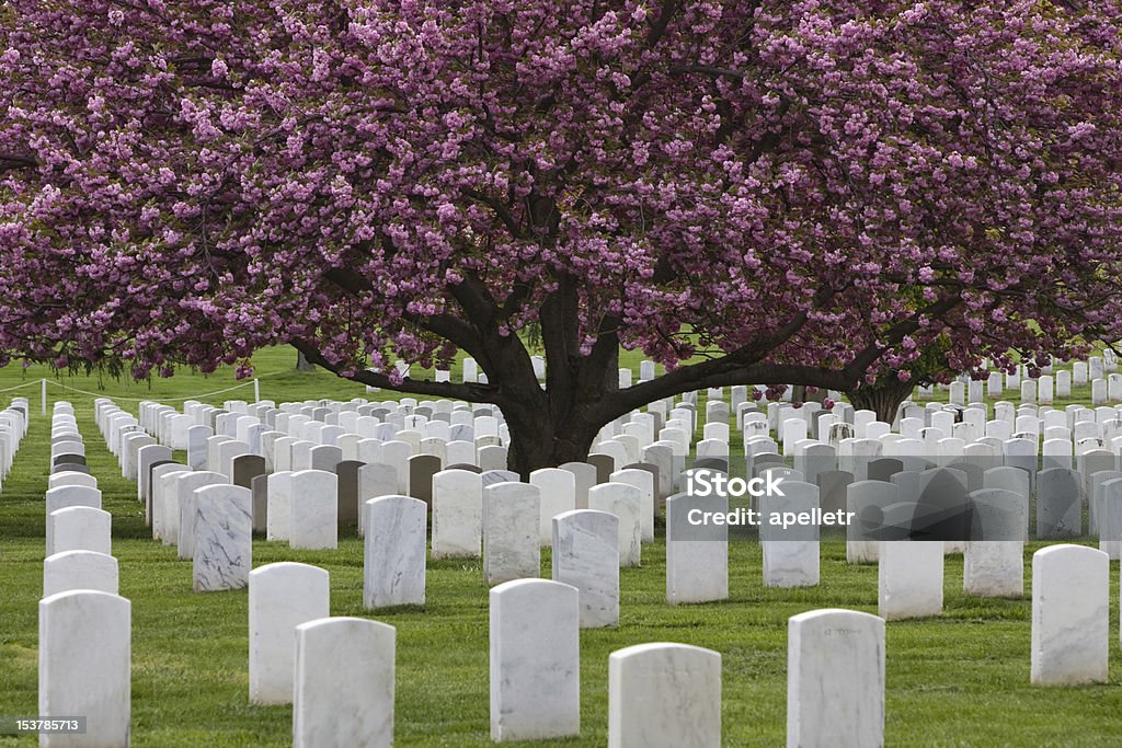 Арлингтонское национальное кладбище - Стоковые фото Арлингтонское национальное кладбище роялти-фри