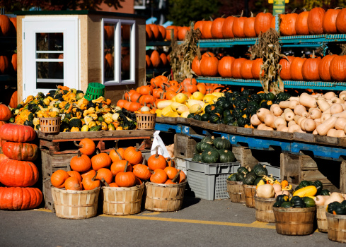 Many varieties of pumpkins, gourds and squashes at a local farmer's market.