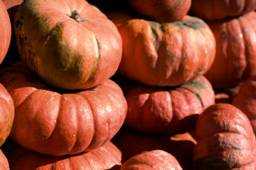 Pumpkins stacked up onto each other at a local farmer's market.