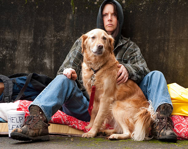 ホームレスの女性と犬 - dog street loneliness solitude ストックフォトと画像