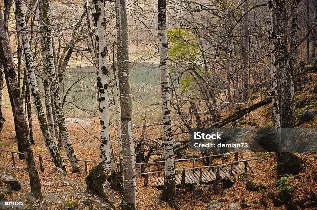 Puente de madera junto al lago - Foto de stock de Aire libre libre de derechos