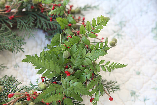 istock Christmas wreath with ferns 153786316