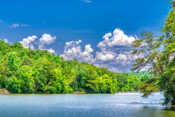 istock Peaceful River Background With Puffy Clouds and Blue Sky 1537864924