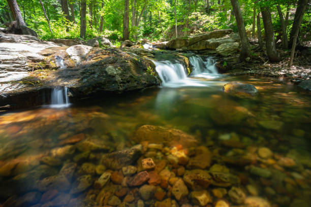 Stream  with cascaded in Shenandoah National Park Virginia