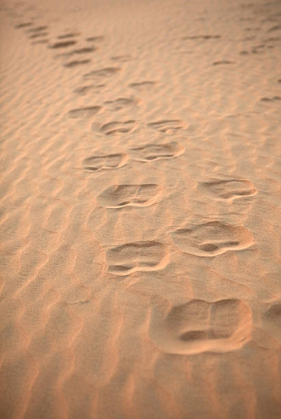 Aerial view over the Namibia desert, Sossusvlei sand dunes, Namibia