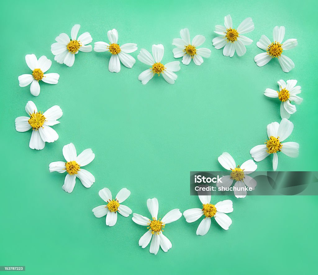 daisys - Стоковые фото Абстрактный роялти-фри