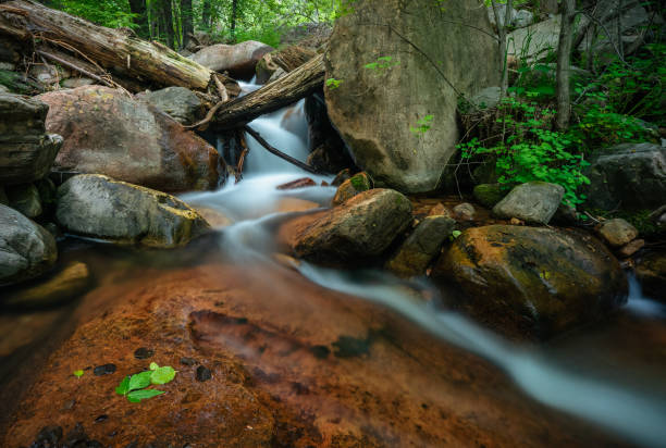 Horton Creek flows though tranquil valley below the Mogollon Rim in Tonto National Forest