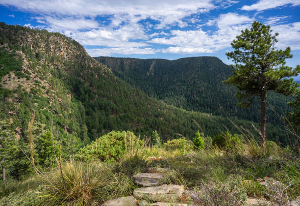 Mogollon Rim from Horton Creek Trail in Tonto National Forest