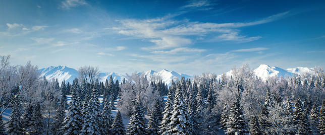 Digitally generated idyllic and majestic cold winter panoramic landscape with fresh snowy trees and snowcapped mountains.

The scene was created in Autodesk® 3ds Max 2024 with V-Ray 6 and rendered with photorealistic shaders and lighting in Chaos® Vantage with some post-production added.