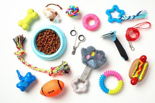 Pet care, training concept. Set of toys for dogs and cats on white background. Flat lay, top view.