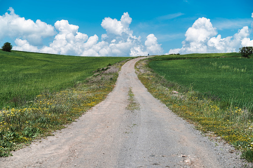 narrow pathway stretching skyward between wheat fields. clouds are visible from the back of the hill. Shot with a full-frame camera in daylight.