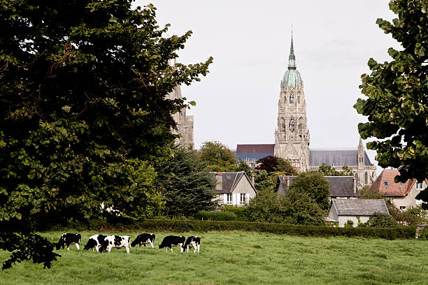 kościół wieża kościelna w bayeaux, francja - tkanina z bayeux obrazy zdjęcia i obrazy z banku zdjęć