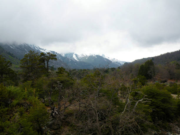 istock Winter landscape with snowy mountain 1537994369