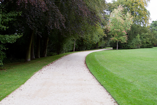 Beautiful pathway along the side of a green park with beautiful trees.
