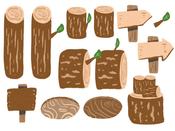 ilustrações de stock, clip art, desenhos animados e ícones de watercolor hand drawn style wood and wood illustration set - wood lumber industry tree ring wood grain