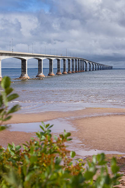 Multi-span beam bridge stock photo