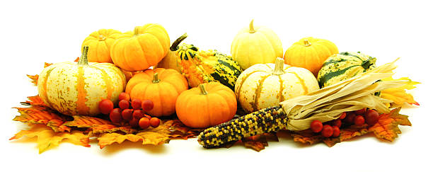 istock Autumn pumpkins, gourds and corn 153803259
