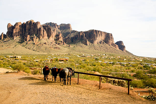 Horses at Superstition Mountain,Arizona stock photo
