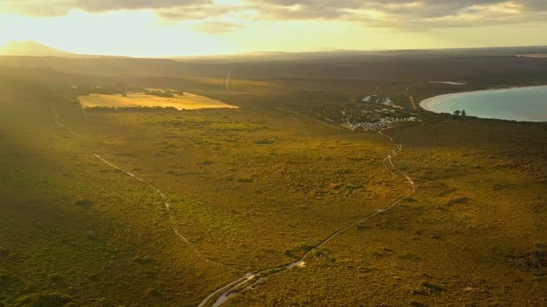 Waychinicup National Park in Western Australia, coast of Southern Ocean, coastline runs between Normans Beach and Cheynes Beach, near Bremer Bay, banksia shrubs with honey possums and honeyeaters