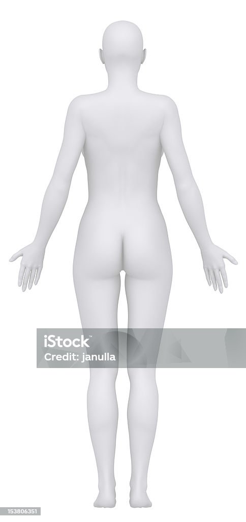 Femmina bianco isolato in posizione anatomica posteriore vista - Foto stock royalty-free di Anatomia umana