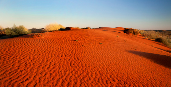 A sand dune at sunrise in the Simpson Desert, outback Australia.