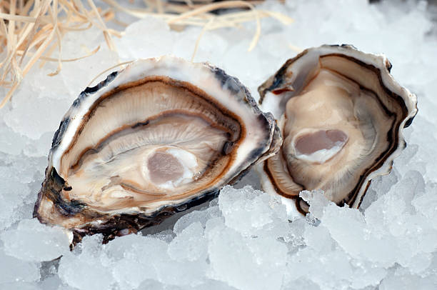 ostriche crudi freschi - pacific oyster foto e immagini stock