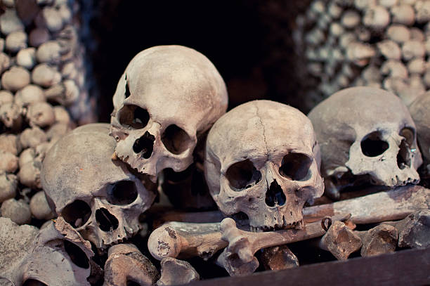 menschliche schädel - kutna hora skull human bone people stock-fotos und bilder