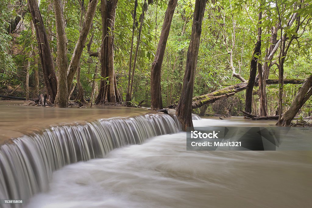 Regenwald-Wasserfälle - Lizenzfrei Asien Stock-Foto