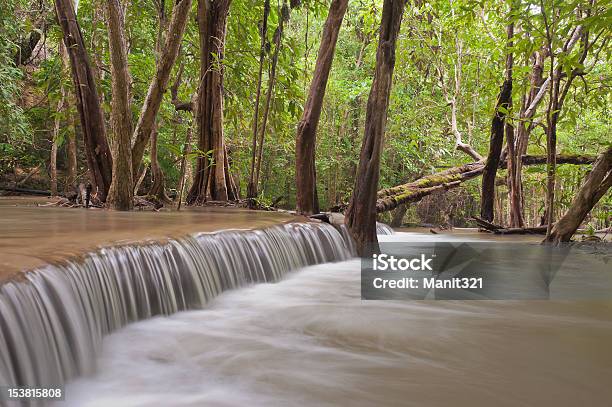 Regenwaldwasserfälle Stockfoto und mehr Bilder von Asien - Asien, Bach, Baum