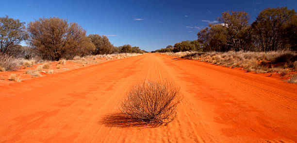 A tumbleweed sitting in the middle of a orange desert road stock photo