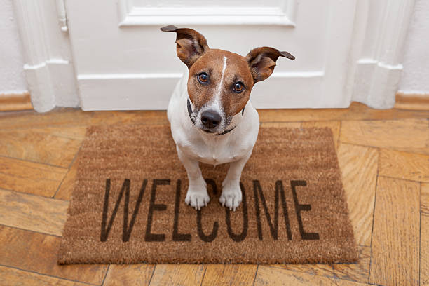 Dog sitting on a welcome mat at front door stock photo