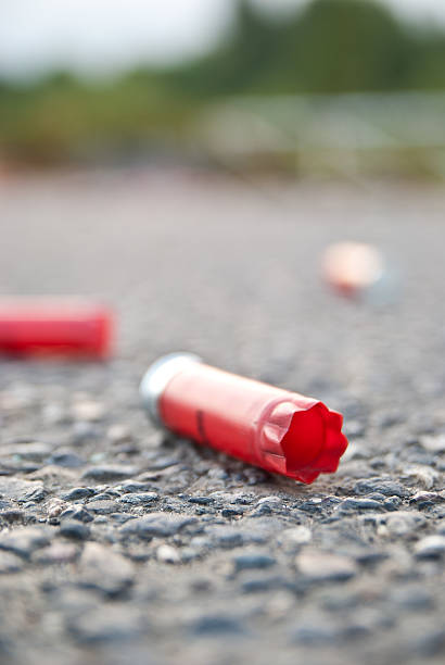 istock spent shotgun shells on the ground 153817091
