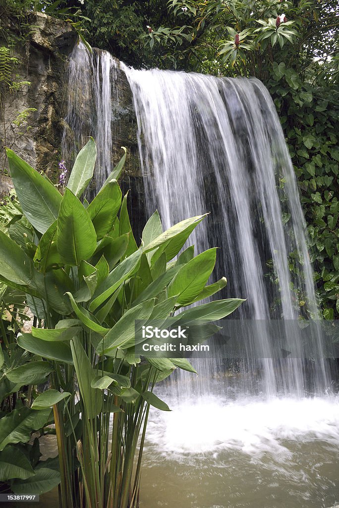 Fengshui Waterfall Stock Photo - Download Image Now - Asian Culture,  Balance, Beauty In Nature - iStock