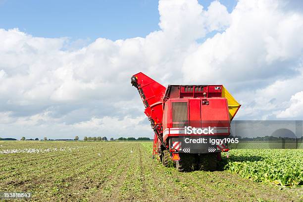 Harvester At Work Stock Photo - Download Image Now - Agricultural Machinery, Agriculture, Beet