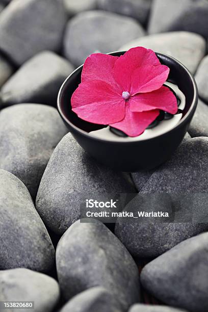 Flores E Pedras - Fotografias de stock e mais imagens de Acordo - Acordo, Aromaterapia, Beleza