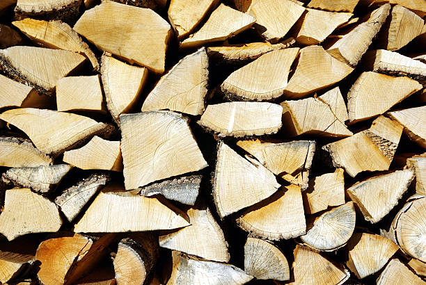 Pilha de madeira - foto de acervo