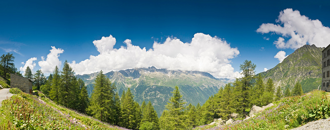 Summer meadow wildflowers, lush pine forests and big sky cloudscapes gathering over the idyllic Aiguilles Rouges nature reserve above the Chamonix valley in the French Alps from Montenvers on the Mont Blanc massif in this sweeping panoramic vista. ProPhoto RGB profile for maximum color fidelity and gamut.