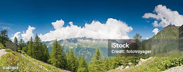 Alpine Flower Forest Vista France Stock Photo - Download Image Now - Beauty In Nature, Blue, Chamonix