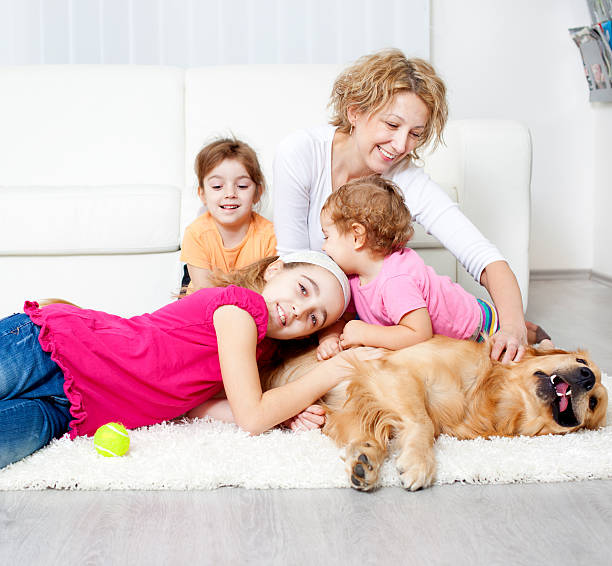 istock Family enjoy with Retriever at home. 153822711
