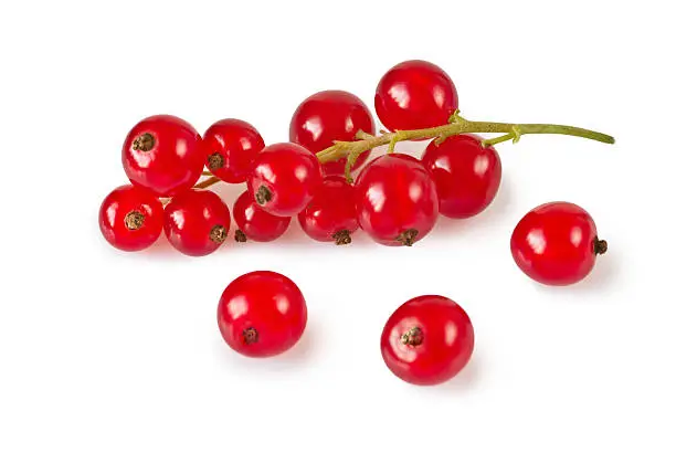 Redcurrant isolated on white background