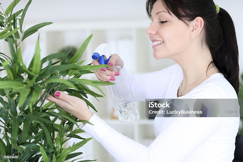 Woman spraying flowers Young woman cultivating flowers Adult Stock Photo