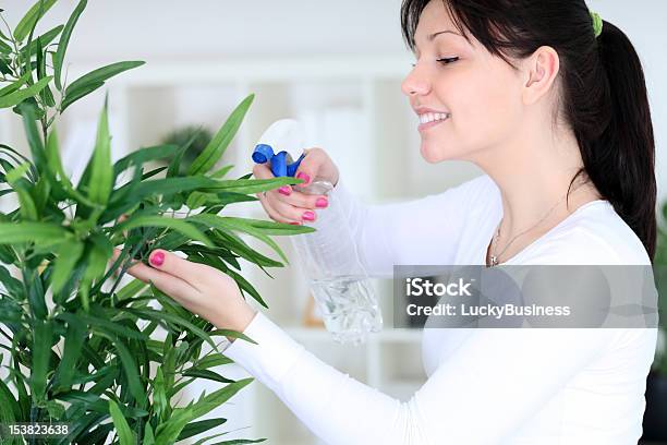 Woman Spraying Flowers Stock Photo - Download Image Now - Adult, Beautiful People, Beauty