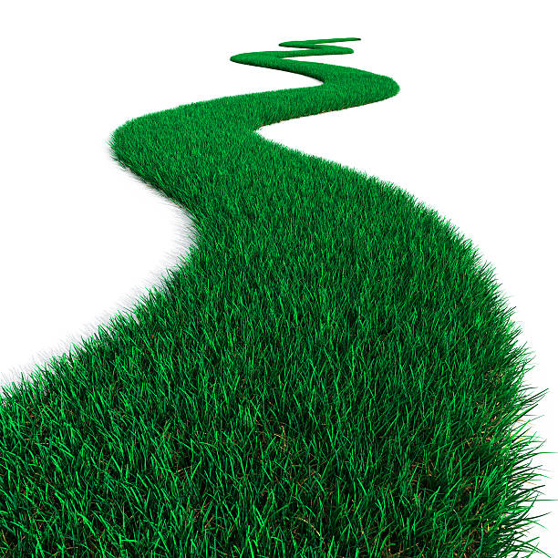 istock Winding road made of green grass 153824726