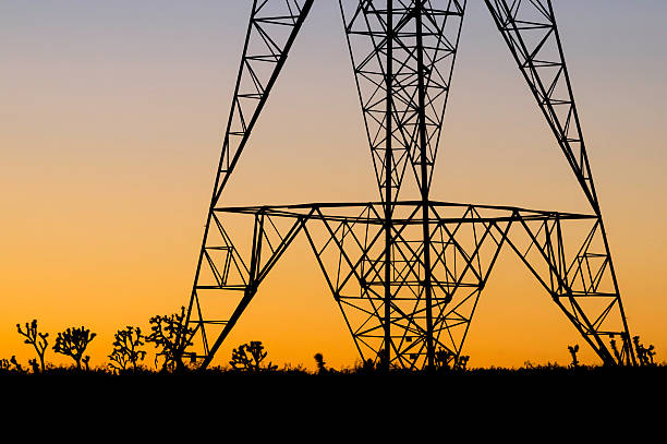 istock Electric Pylon with Joshua Trees 153825895