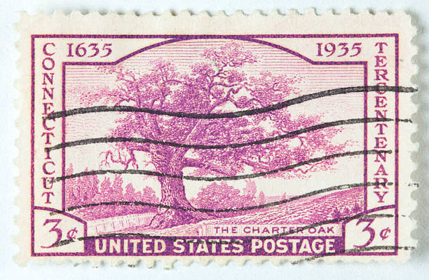istock Connecticut State Tree Postage Stamp white oak 1935 153827323