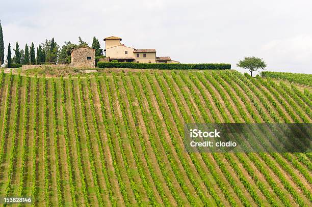Foto de Vinhedos De Chianti Toscana e mais fotos de stock de Agricultura - Agricultura, Ajardinado, Campo