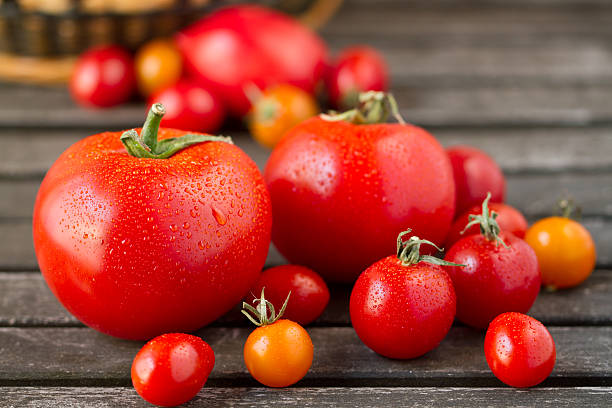 Fresh Tomatoes stock photo